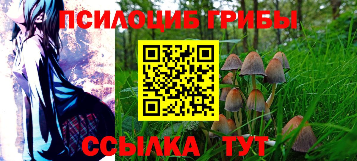 Галлюциногенные грибы мухоморы Ставрополь